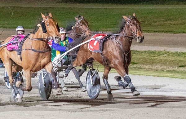 trots-review-maori-law-gives-brosnans-first-elite-level-triumph