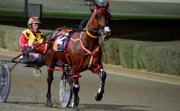 terang-stallion-tender-extended-to-september-16