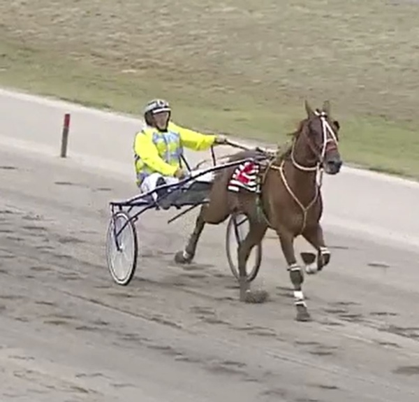 trots-centre-can-hayes-hot-headed-hope-have-maj-moment