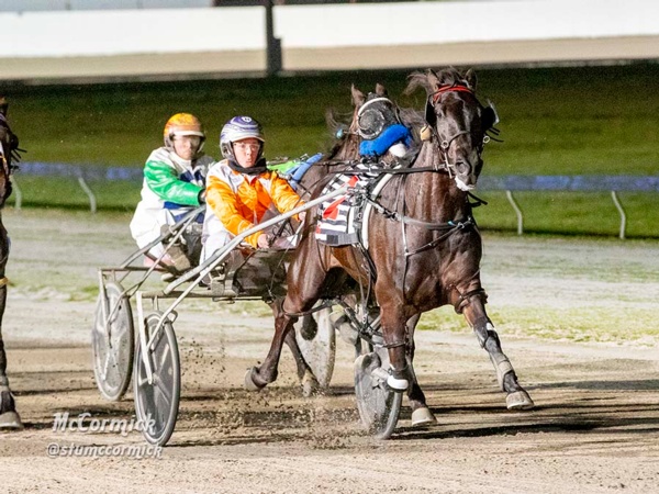 trots-centre-beck-dreaming-of-another-maryborough-gold-cup