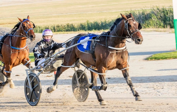 trots-centre-geoffs-cruiser-in-the-mix