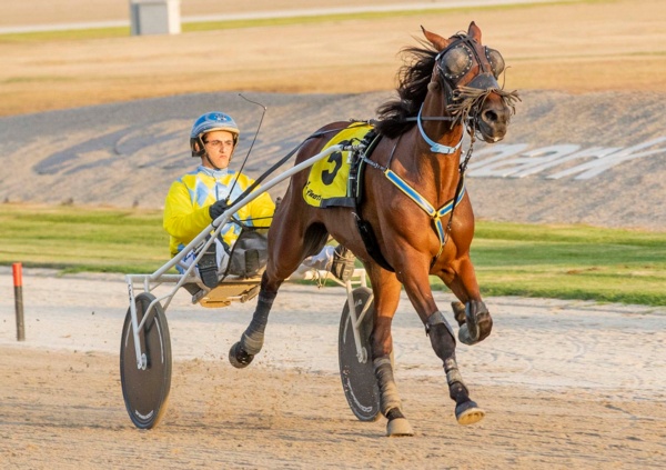 changes-bolster-opportunity-for-juvenile-trotters