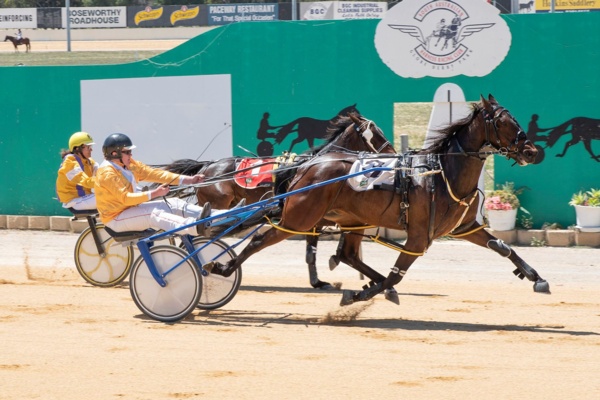 shock-globe-derby-success-a-story-to-warm-the-heart