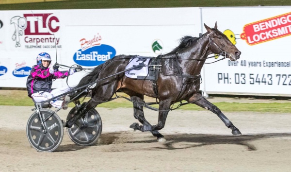 trots-review-red-letter-day-for-stewart-with-derby-oaks-double