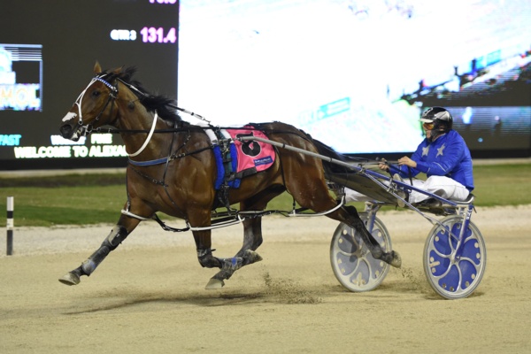shock-injuries-have-self-assured-chase-auckland-out-of-miracle-mile