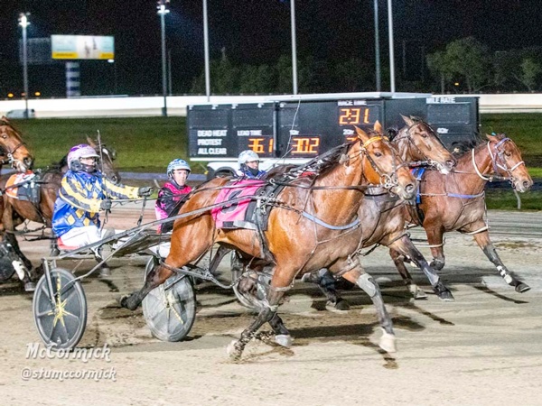 trots-review-sofs-gems-storm-the-line-on-night-to-remember