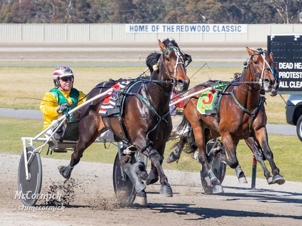 trots-review-lilley-lands-derby-as-stablemates-go-one-two