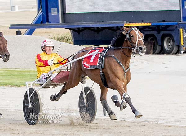 trots-centre-elida-out-to-prove-shes-queen-in-trotters-oaks