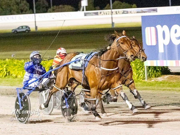trots-review-mares-magic-as-spellbound-sizzles-first-up