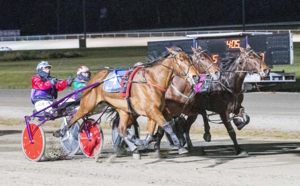 id21-heat-distances-a-big-hurdle-for-marathon-loving-penny-drops