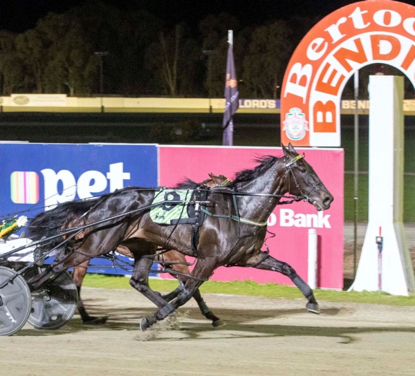 more-fun-and-prizes-as-elmore-readies-for-bendigo-mid-week-cup