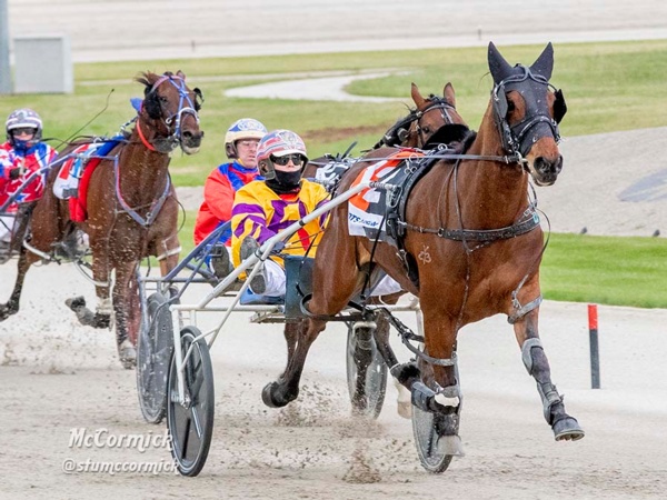 breeders-crown-kate-and-andy-riding-wave-of-success
