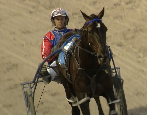 trots-review-hard-act-to-follow-but-have-challengers-emerged