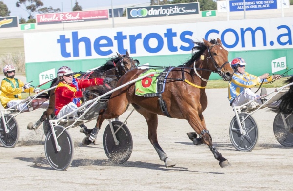 trots-centre-kaa-keeping-hand-in-the-game-with-sertorius