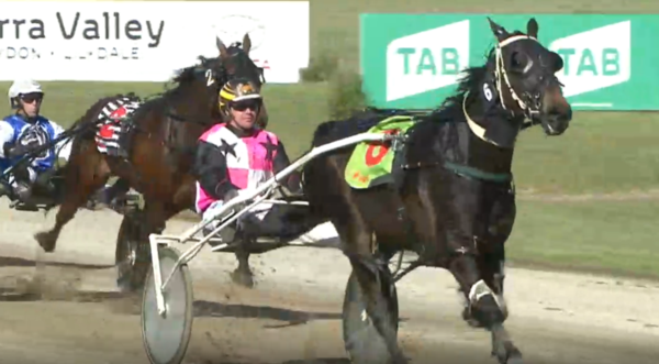 trots-review-parwan-rocket-soars-to-more-cup-glory