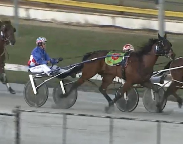 vicbred-heats-a-super-chance-to-again-roarforroscoe