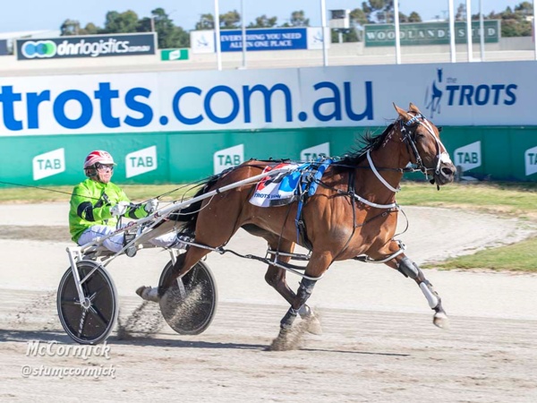 how-it-happened-vicbred-super-series-semi-final-night