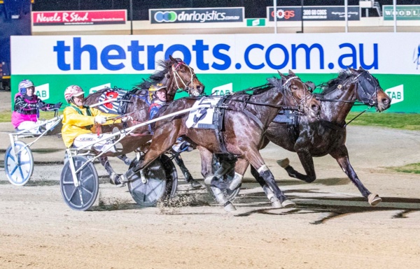 victorian-country-trotting-cups-to-receive-stakes-boost