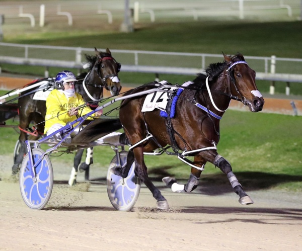 trots-centre-twists-task-no-cakewalk-in-crown-says-ants