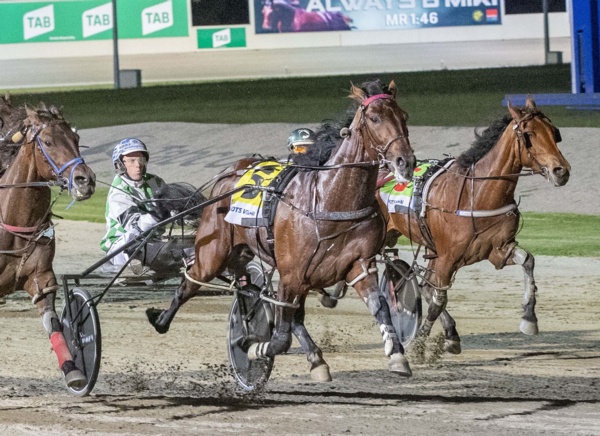 the-week-ahead-top-colt-ready-to-take-next-step