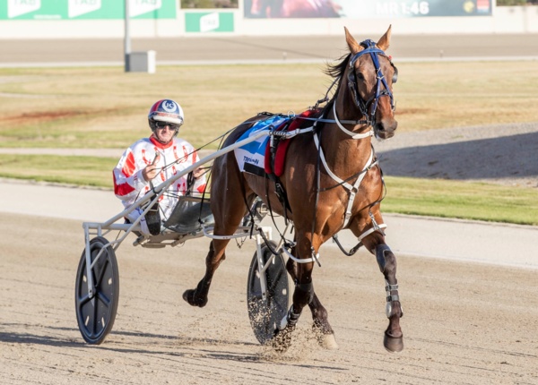 maree-hoping-to-bank-one-for-bernie-in-vicbred-silvers