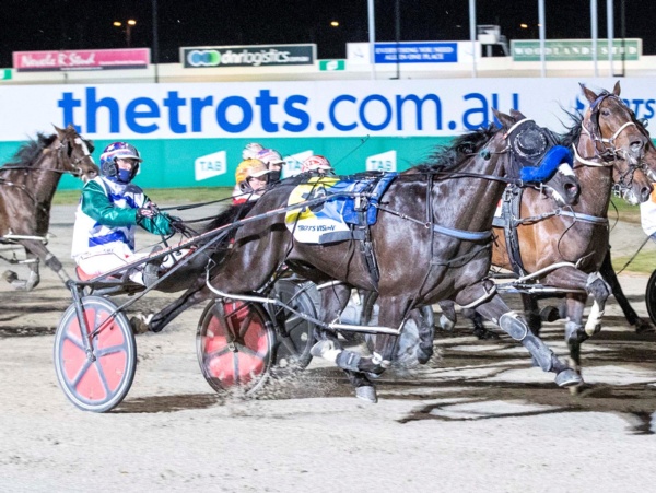basils-bomb-proof-boy-readies-for-rare-cup-tilt-at-stawell