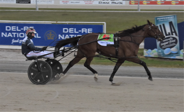 can-stewart-filly-interject-into-vicbred-contention-saturday-night