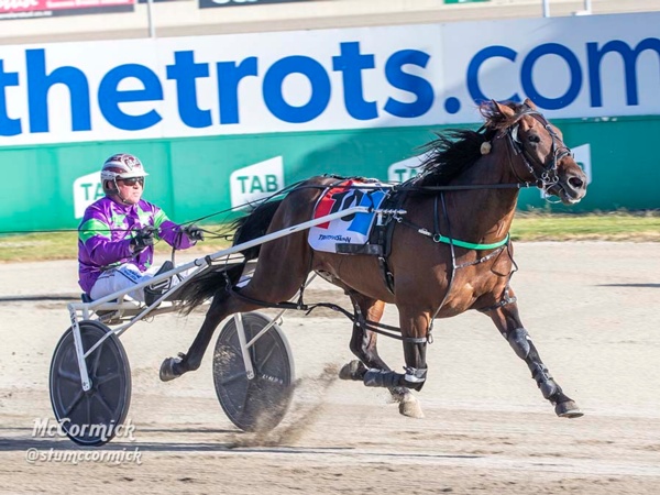 listen-adam-and-ants-dissect-vicbred-super-series-finals