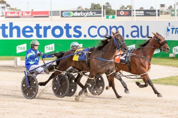 improving-tigerpie-out-to-break-drought-in-sokyola-sprint