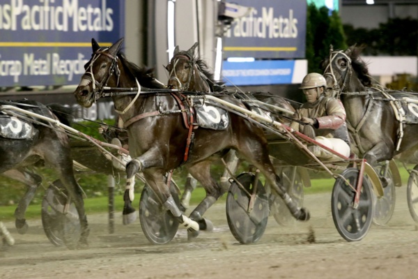 border-restrictions-end-aussie-plans-for-star-kiwi-trotter