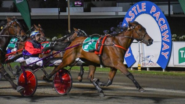 rays-great-star-aimed-at-februarys-big-trotting-feature