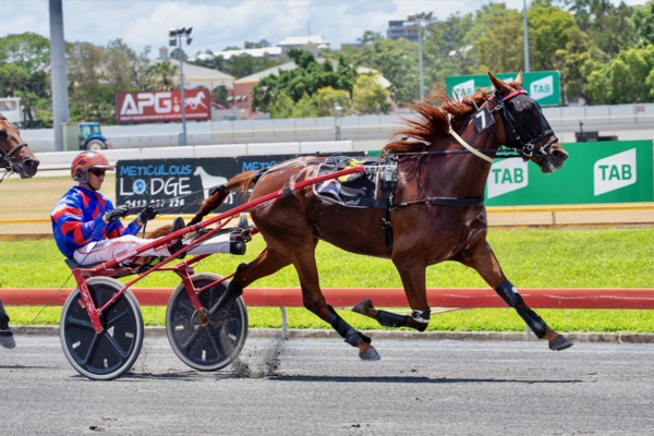 four-wins-on-end-for-lucky-owners-of-tam-oshanter