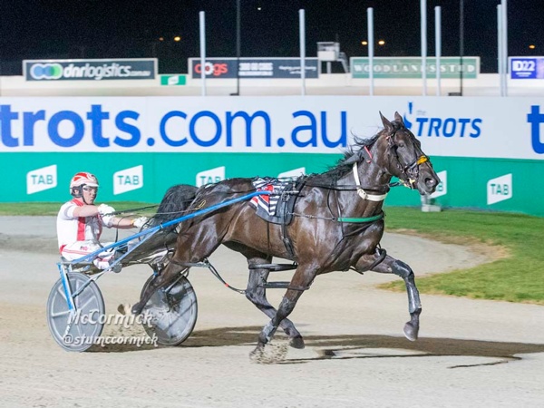 breeders-crown-phil-hopes-to-deliver-dorro-a-sweet-breakthrough