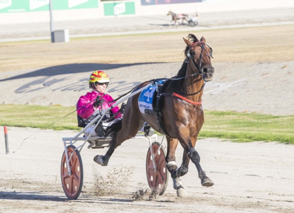 blackmores-love-grows-for-yankee-after-breaking-maiden
