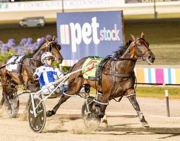 field-revealed-ego-arty-and-max-among-star-studded-ballarat-cup