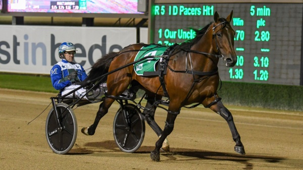 the-king-claims-second-successive-horse-of-the-year-title
