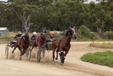 watch-andy-gath-on-the-great-southern-star-favourites-final-hit-out