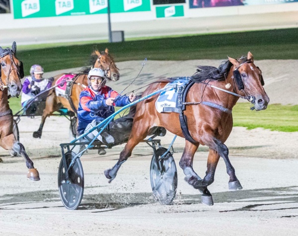 interview-the-talk-of-trotting-after-tabcorp-park-triumph