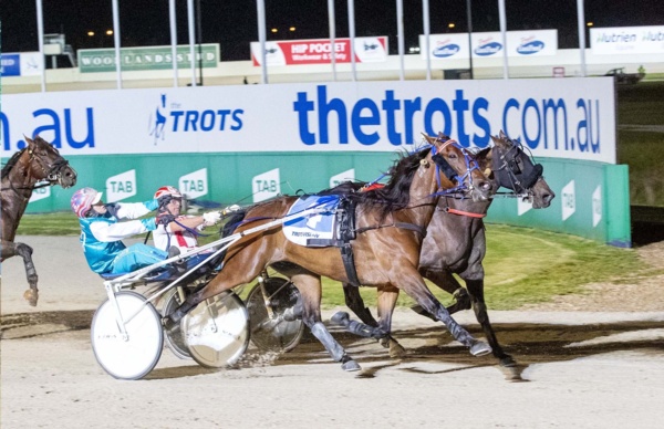 majestuoso-back-to-chase-aurora-australis-lead-in-knight-pistol