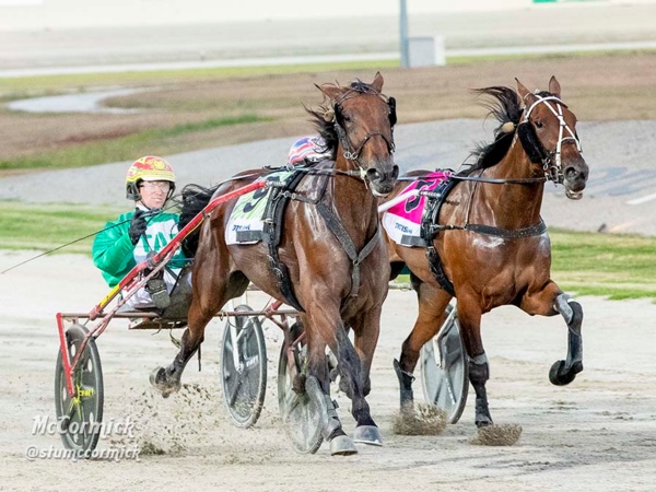 herb-feels-the-speed-as-top-mare-gets-her-group-1