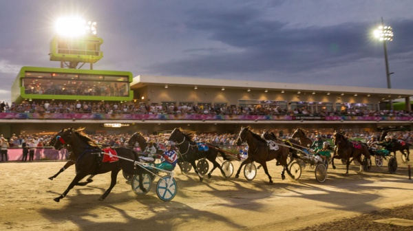 every-runner-your-great-southern-star-hopefuls-chasing-glory-tonight