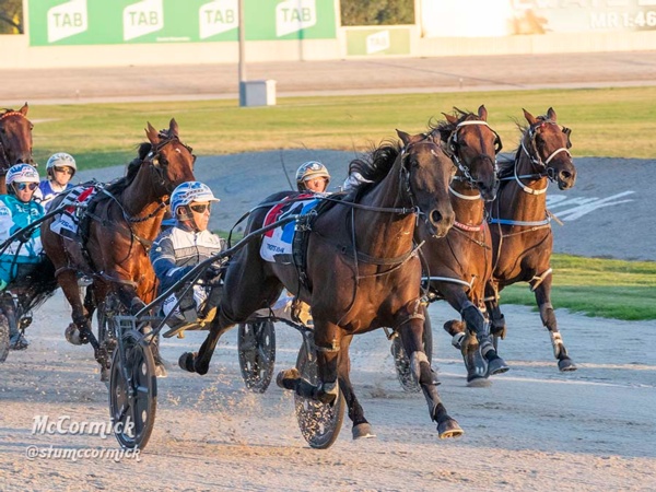 returning-pacer-brings-the-fire-to-romp-home-in-the-pure-steel