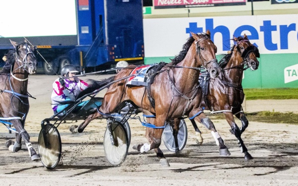 will-city-of-melton-plate-bring-out-the-best-of-denis