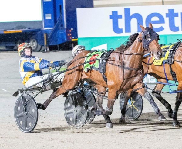 mach-dan-set-to-attack-the-race-as-victorian-joins-purdons-fleet