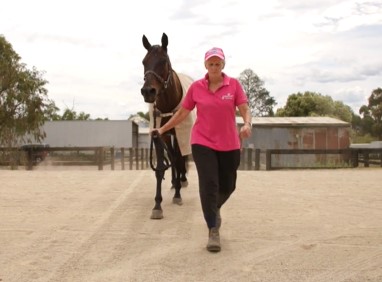 videos-special-coverage-celebrates-the-great-women-of-the-trots