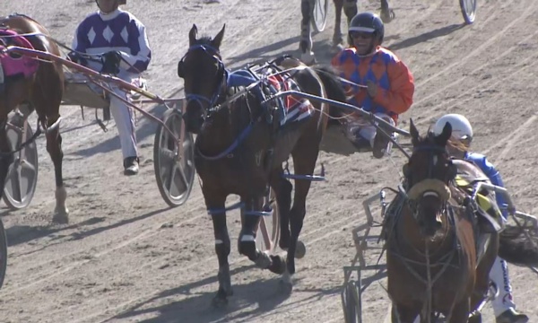 walshs-wait-over-after-crime-boss-produces-stawell-stunner