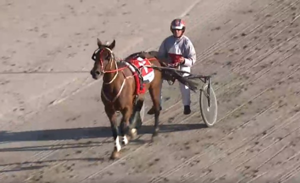 drought-breaking-filly-out-to-give-neil-another-thrill