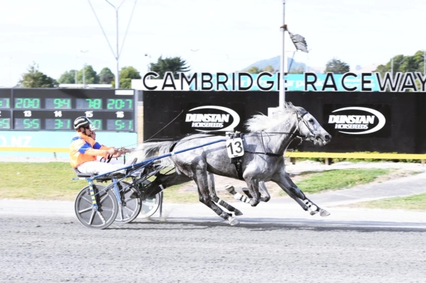 jack-ready-to-unleash-new-silver-fern-in-vic-trotting-group-1