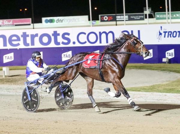 jack-hopeful-wangaratta-cup-kick-starts-the-making-of-moreton-bay