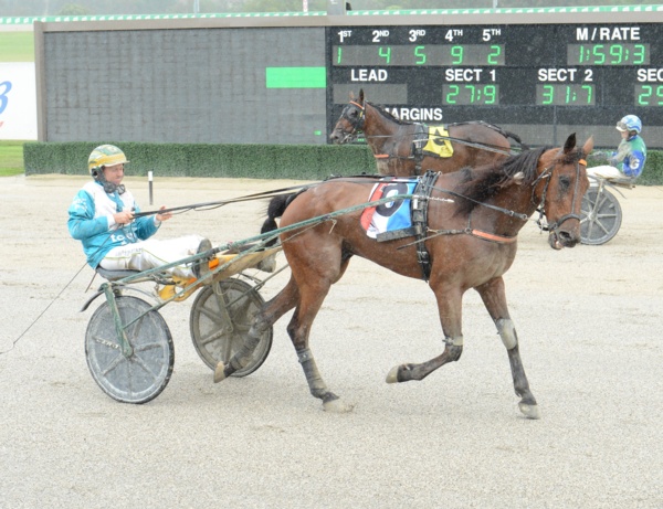 trotting-wizard-agent-maori-proving-age-is-no-barrier